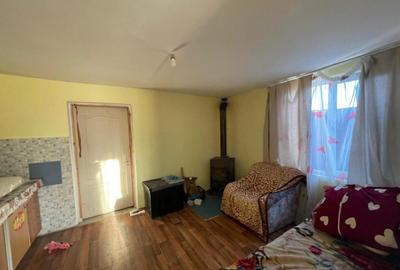 Investitie pentru liniste si oaza de verdeata - 28