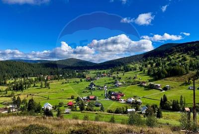 Teren Construcții intravilan de 6500 mp, în Arieșeni - 4