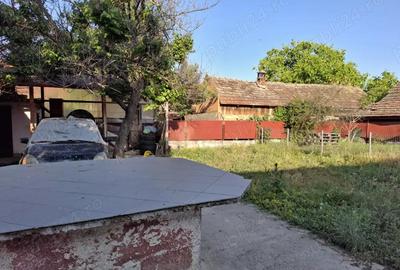 Casă cu 3 camere cu Teren 1820 Mp în Sânandrei - 1