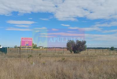 Gulia, teren rezidential 1500 mp, cu utilitati Gulia, teren rezidential 1500 mp, cu utilitati - 2