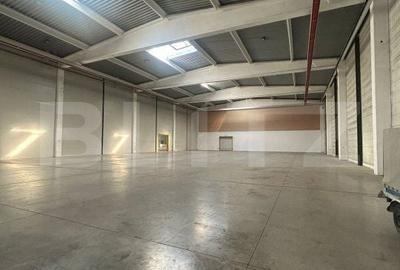Spațiu comercial, de 3,000 mp, în Dumbrăvița - 5
