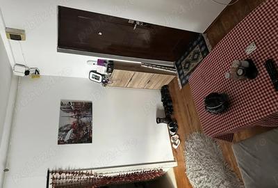 De vanzare apartament 1 camera - Podgoria - 6