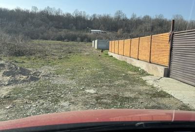 Spațiu comercial, în Batoți - 5