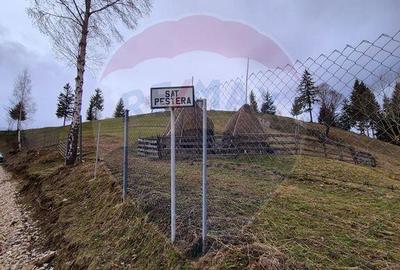 Comision 0 %/ Teren extravilan 13,570mp Pestera / Priveli... - 9