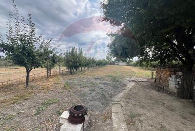 Casa 3 camere Marasesti in zona Est - 7