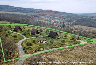 Teren Construcții intravilan de 4887 mp, în Dăbâca - 2