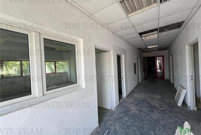 De inchiriat spatii comerciale, hale si birouri - 7
