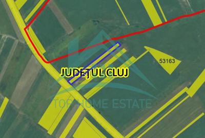 OPORTUNITATE! De vanzare terenuri extravilane in Tureni si Turda! - 14