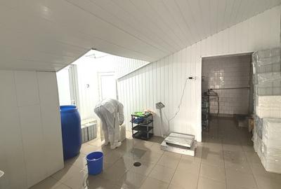 Fabrica de productie branzeturi, Business functional, 25 de ani activitate - 9