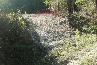 Teren Construcții intravilan de 96279 mp, în Bujoreni - 2