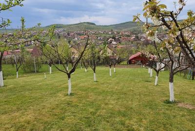 Teren cu AUTORIZATIE constructie casa plus CABANA LIVEZENI, 1824 MP - 6