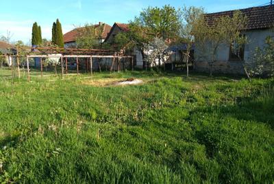 Casă cu 4 camere în Finiș - 2