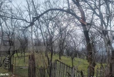 Teren în Schiulești - 10