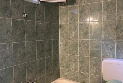 Casa 4 camere suprafata utila 100mp cu teren 400mp spre vanzare in Gura Raului - 7