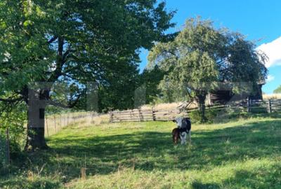 Teren de 2500 mp, în Central