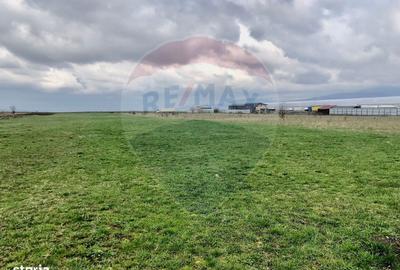 Teren de 500 mp, în Tărlungeni - 3