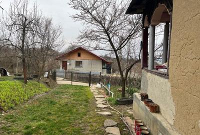 Casă cu 3 camere în Bălțești - 5