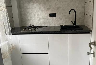 Apartament cu 1 camera-Bucovina - 3