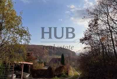 Teren Construcții extravilan de 1095 mp, în Podiș - 4