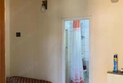 Casă cu 3 camere cu Teren 713 Mp în Lugoj - 7