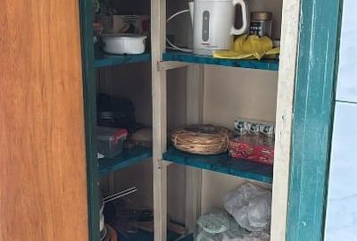 Apartament cu 4 camere semidecomandat, mobilat în Banu Manta - 2