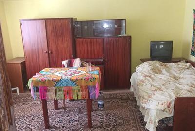 Casa tradi?ionala din piatra ?i lemn, 200 mp utili, teren 850 mp Cavnic - 6