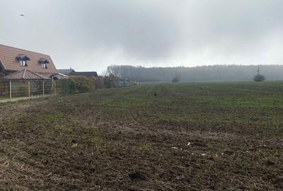 Spațiu comercial, în Ghermănești - 4