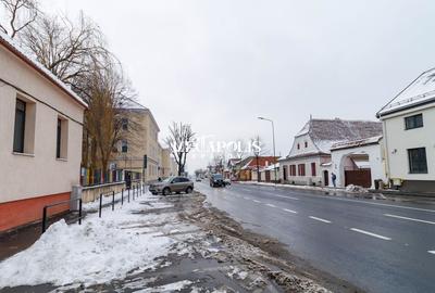 Recent Renovata/Destinatie Multipla/Beci/Garaj - 18