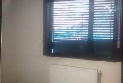 Casa P+E, 1978, Timisoara, Printul Turcesc, cu ap. cu 3 cam/nivel + anexa - 9