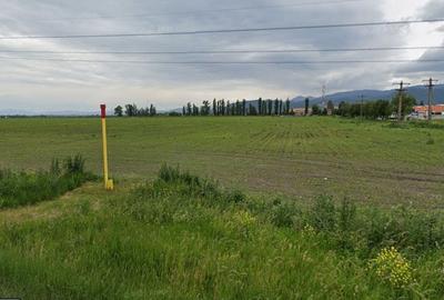 Teren agricol extravilan de 21000 mp, în Exterior Vest - 2