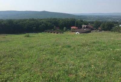 Teren Construcții intravilan de 1100 mp, în Bârnova - 2