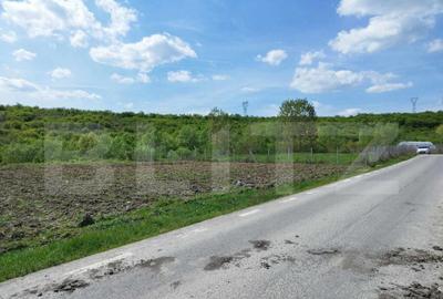 Teren 31 ari, zona linistita - 7