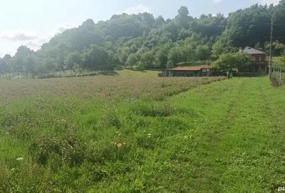 Casa de vanzare Casa de vanzare - 5