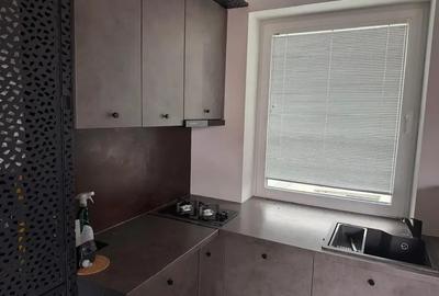 Doua camere mobilat/utilat stil industrial cu terasa zona Parc Carol - 19