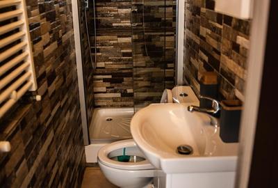 Apartament cu 2 camere decomandat în Casin - 17