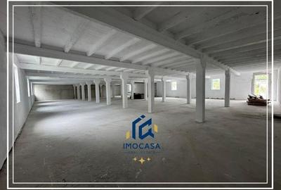 Spațiu industrial, de 470 mp, în Alfa