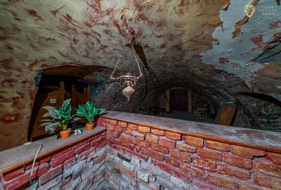 Proprietate speciala cu potential in inima Aradului - 27