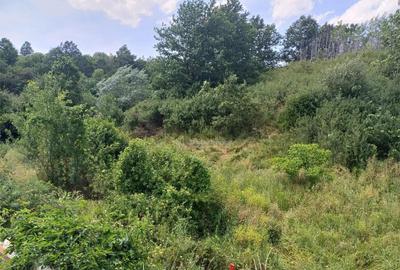 Resita, Terenuri Intravilane 2000 Mp., 28 Euro/Mp., Calea Ca - 17