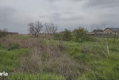 Teren de 3000 mp, în Cazasu