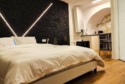 Garsoniera pentru investitie, 23 mp, Zona Istorica Sibiu - 3