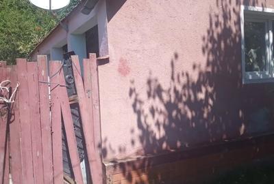 Casă cu 2 camere în Odvoș - 2