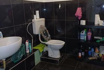 Spațiu comercial, de 485 mp, în Șagului - 5