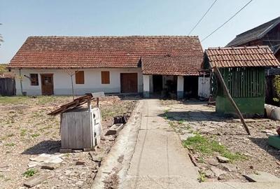 Casă cu 4 camere cu Teren 3600 Mp în Tirol - 2