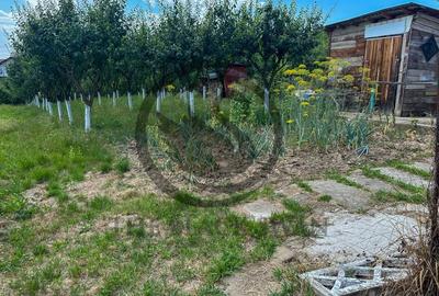 Casa cu 5 camere de vanzare | 700 mp teren | Valea Dulce, Prahova - 20