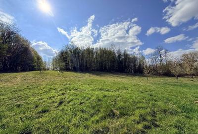 Casă cu 4 camere în Dobricionești - 3