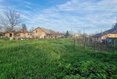 Casă cu 5 camere cu Teren 2470 Mp în Șoldanu - 5