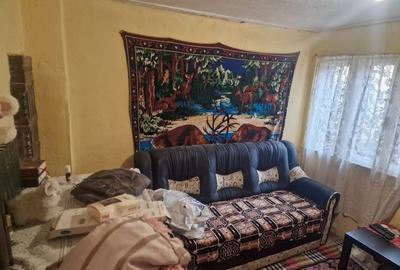 Casă individuală cu 3 camere cu Teren 2850 Mp în Alunișu - 8