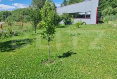 Casă cu 5 camere cu Teren 1600 Mp în Vulcan - 12