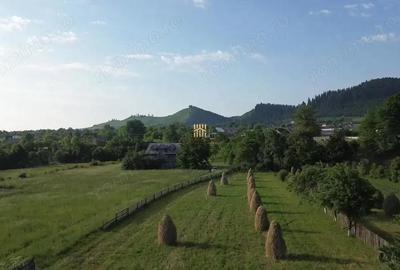 Teren de 10304 mp, în Slatina - 2