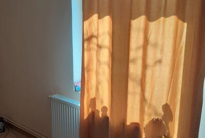 Vind casa p+1din,B.C.A,in Com.Ciolpani - 8